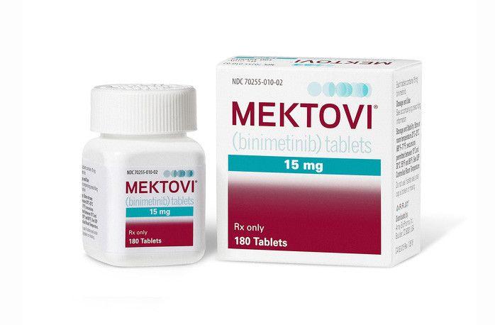 Mektovi